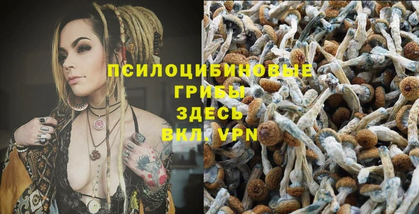 соль курить ск Аркадак