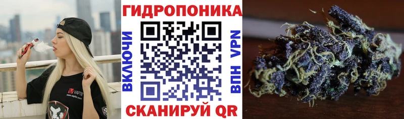 Бошки марихуана гибрид  Новосиль 